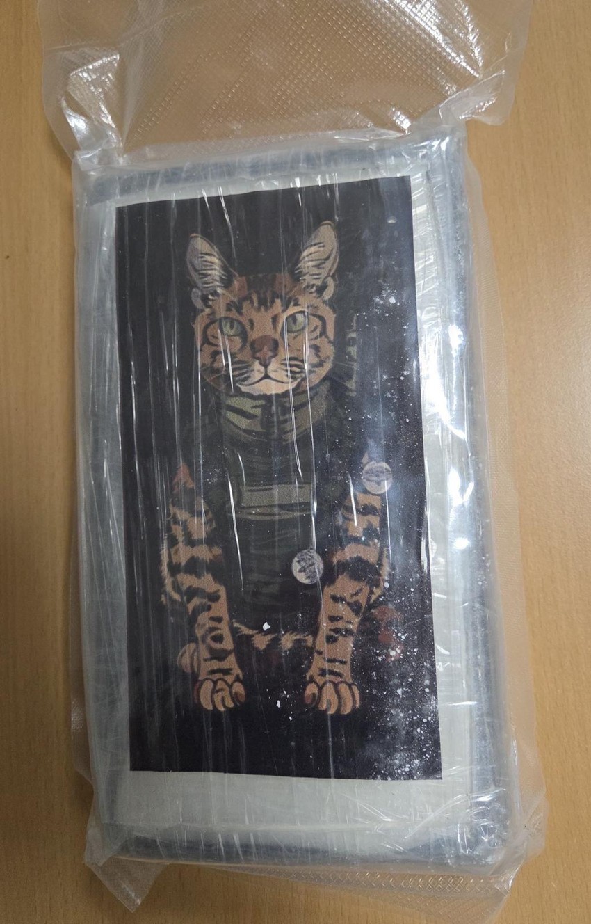 Hapšenje U Srbiji, Austriji i Španiji 