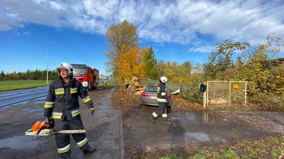 Połamane drzewa i gałęzie. Strażacy usuwają skutki silnego wiatru