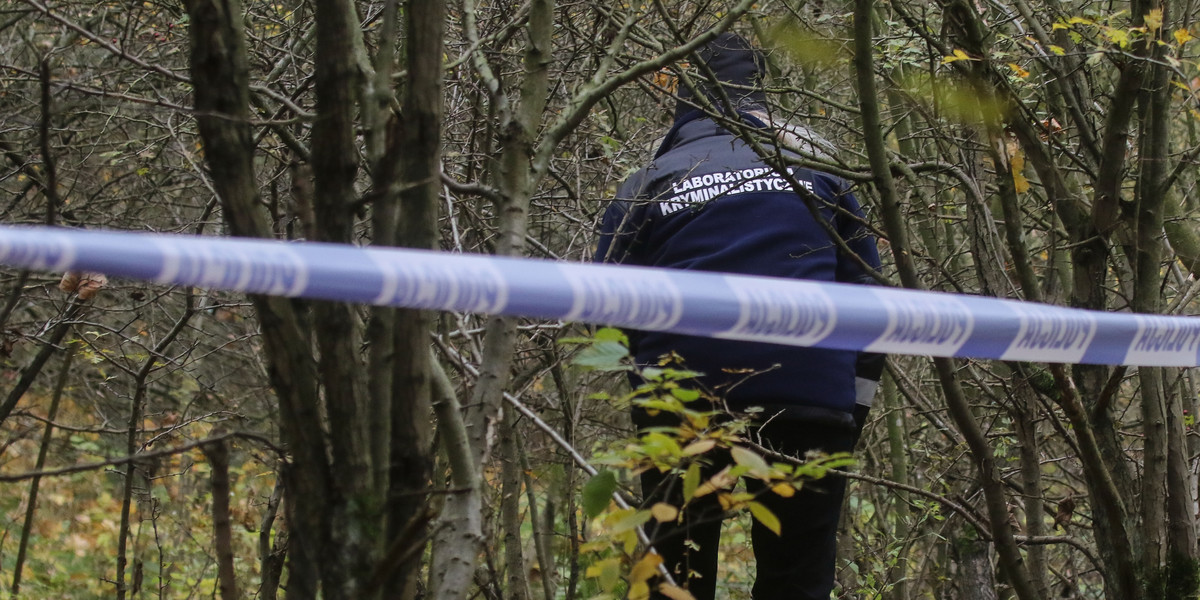 Policja znalazła zwłoki kobiety w lesie na Morasku w Poznaniu.