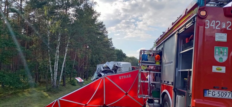 Wypadek pod Zieloną Górą. Winny kierowca busa?