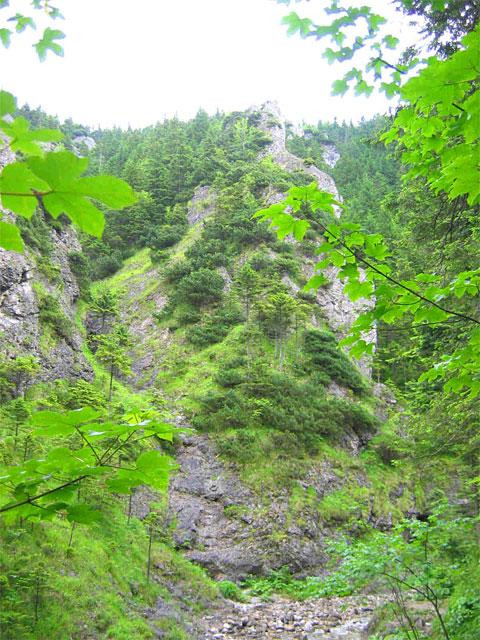 Galeria Polska - Tatry, Dolina Białego, obrazek 2