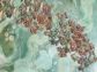 'Ocean of Noise' - recenzja