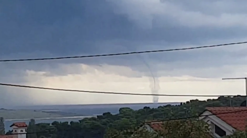 Pijavice su sve češće