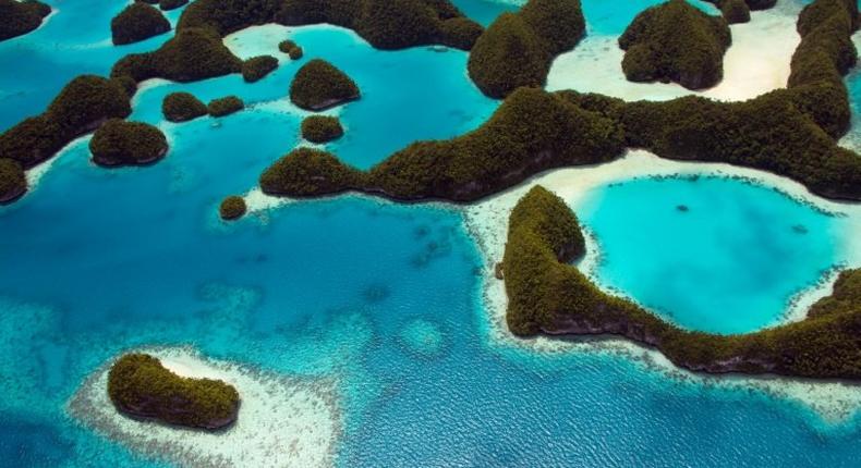 Palau is to introduce the world's first ban on sunscreen chemicals to protect its famed corals