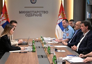 Adrijana Mesarović i Bratislav Gašić