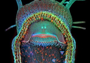 413940_e724b8250d7386869249860165309afe2f2a317a