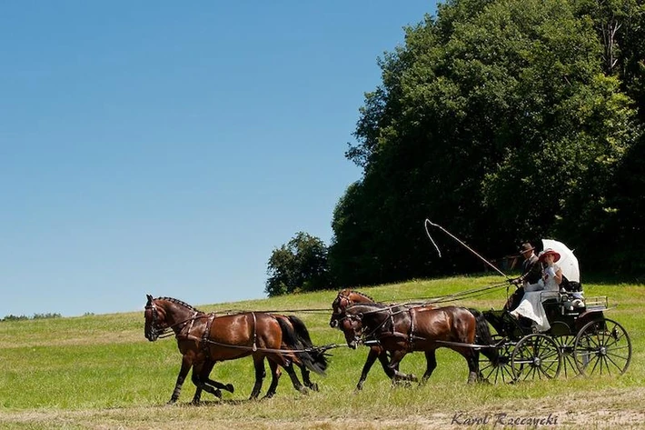 I Międzynarodowy Konkurs Tradycyjnego Powożenia, fot. Karol Rzeczycki