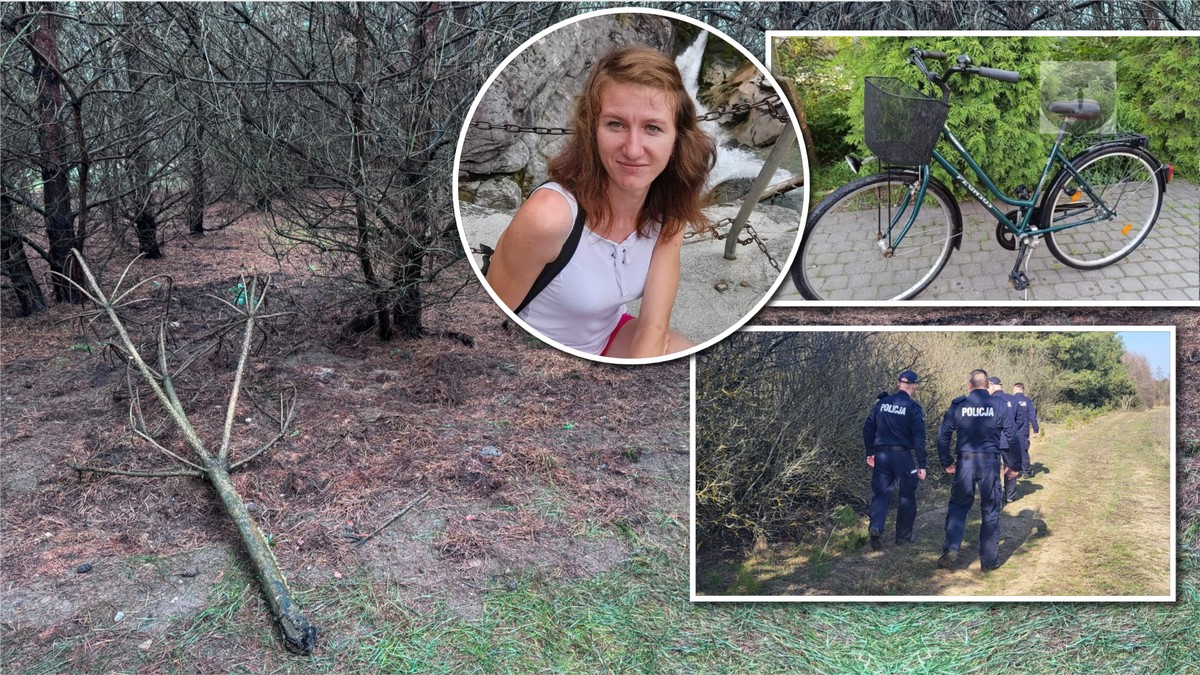 Zaginięcie Jowity Zielińskiej. Nowe informacje i tropy w śledztwie