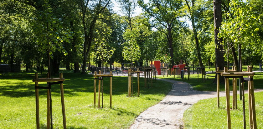 Park już przebudowany