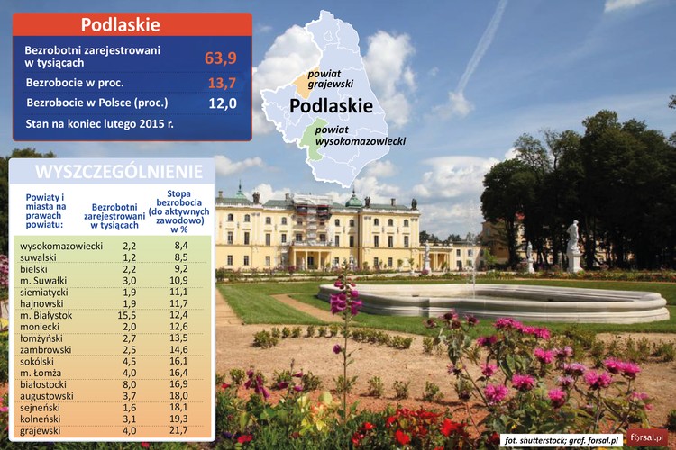 Stopa bezrobocia na Podlasiu wynosi 13,7 proc. i tylko w trzech powiatach nie przekracza 10 proc. Regionalnym rekordzistą jest powiat wysokomazowiecki (8,4 proc.). To typowo rolniczy region, utrzymujący się głównie z sektora spożywczo-przetwórczego. Wśród największych inwestorów w wysokomazowieckim wymienić należy Spółdzielni ę Mleczarską MLEKOVITA w Wysokiem Mazowieckiem i Zakłady Mięsne SOKOŁÓW S.A. w Czyżewie. W powiecie suwalskim bezrobocie sięga 8,5 proc. Większość zakładów działa w ramach Suwalskiej Specjalnej Strefie Ekonomicznej. Funkcjonują tu liczne spółdzielnie mleczarskie i zakłady mięsne. <br>Podlasie jest też ważnym ośrodkiem przemysłu drzewnego i budowlanego - w Koszkach w gminie Orla w powiecie bielskim działa fabryka mebli szwedzkiej IKEI. <br> Ranking powiatów w województwie zamyka powiat grajewski, w którym stopa bezrobocia w lutym tego roku wynosiła 21,7 proc.