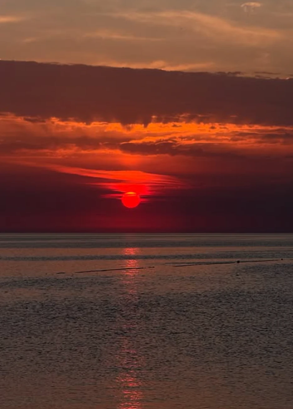 Dragana Kosjerina, objava