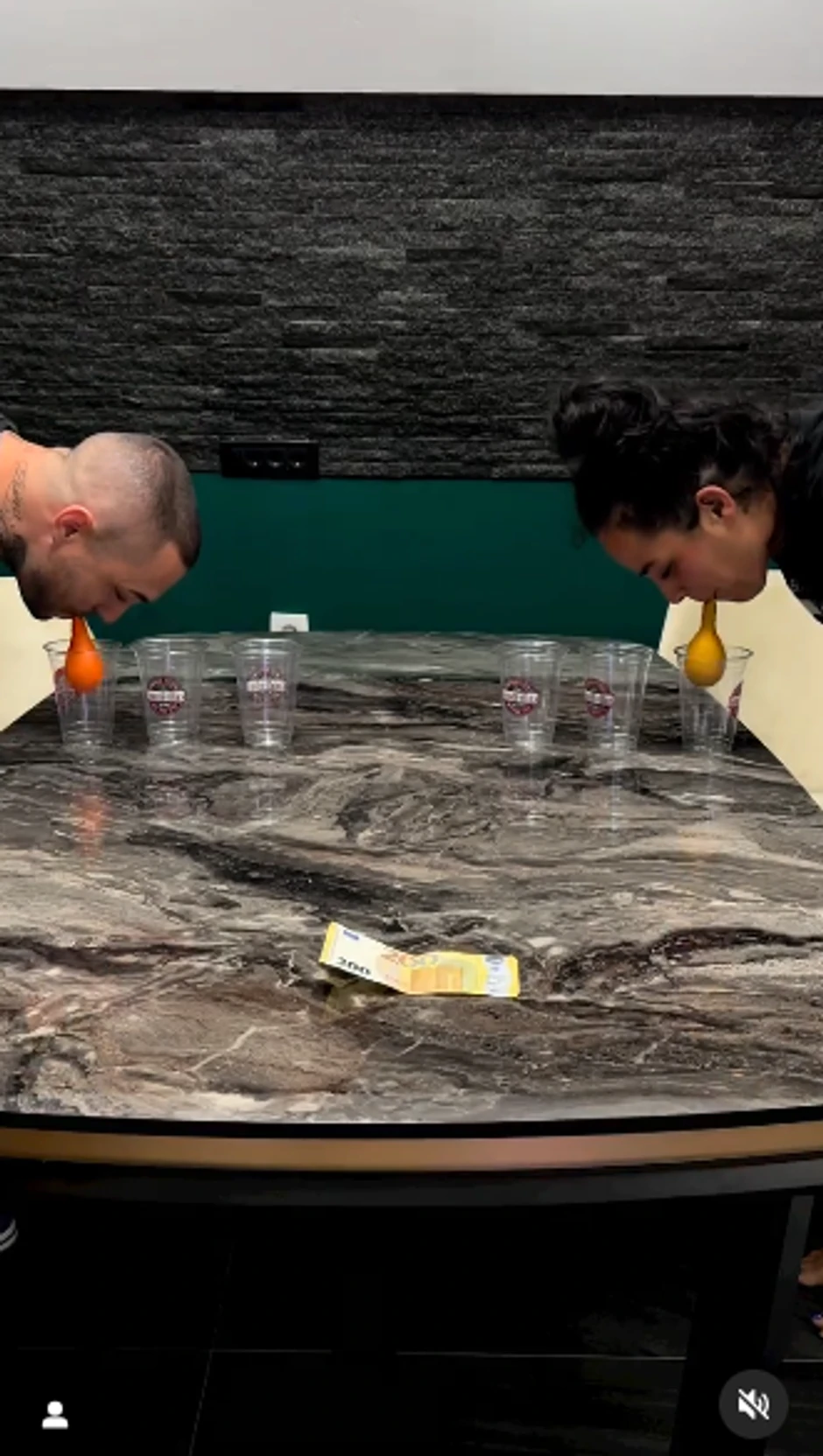 Jodžirova kuća u Crnoj Gori