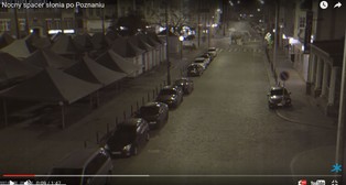 Poznań potrafi, czyli jak kupą słonia walczyć z problemem psich odchodów