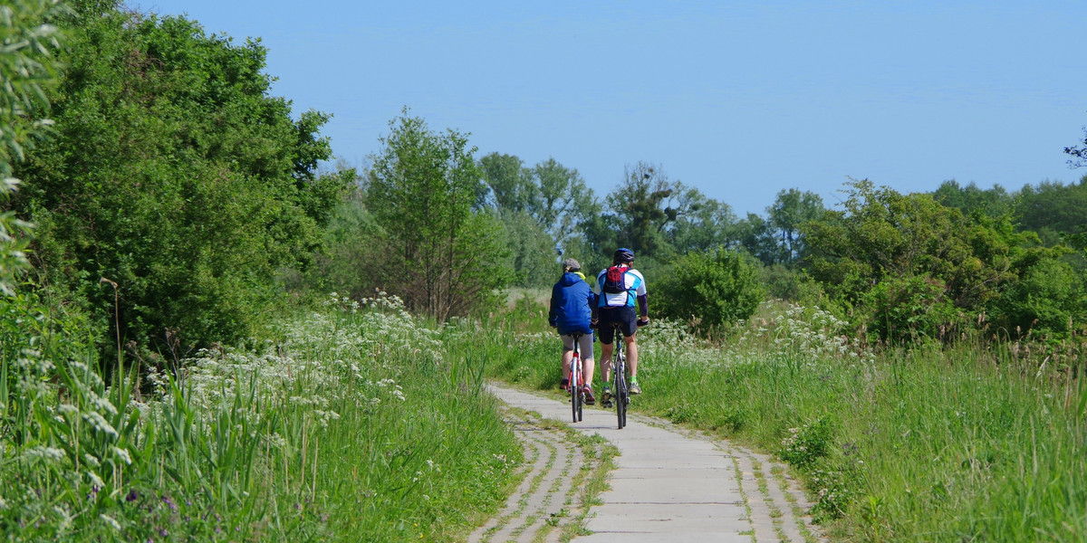 Jedną z atrakcji Polski Wschodniej jest Wschodni Szlak Rowerowy Green Velo