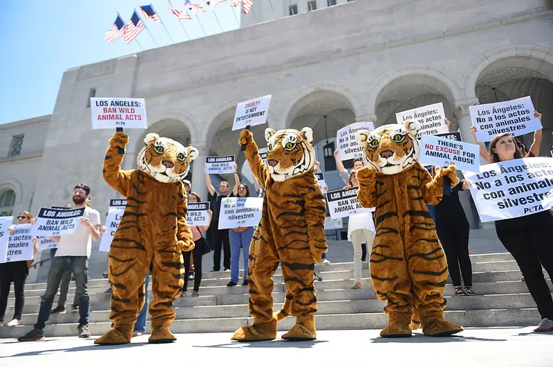 Protest PETA w LA przeciw wykorzystywaniu dzikich zwierząt na imprezach, fot. Getty Images / Emma McIntyre