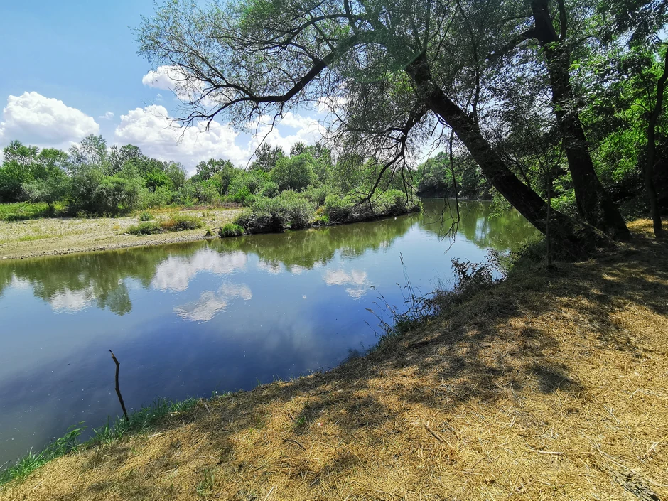 Čačak, reka gde se utopio dečak