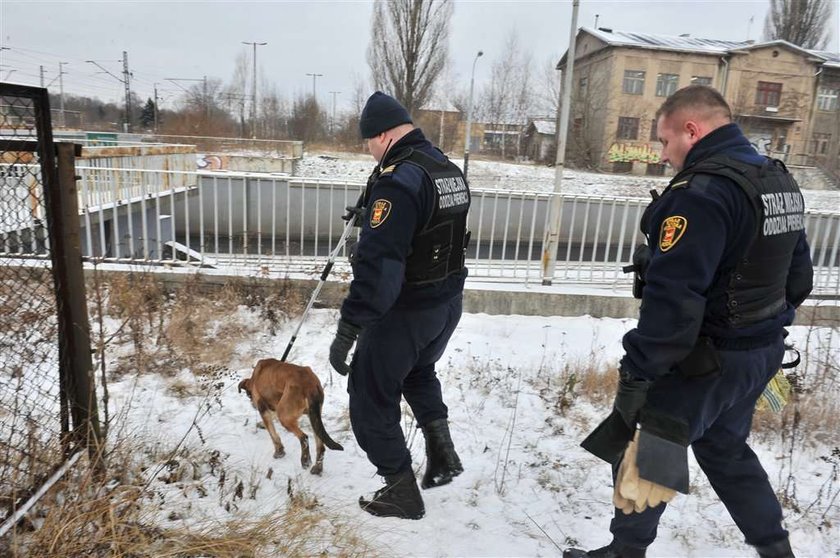 Ten psiak siedział w kanale prawie siedem dni!