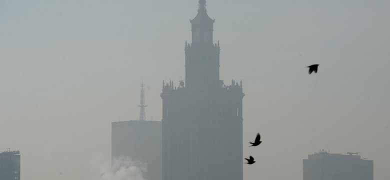 Kto odpowiada za smog? Ekspert nie ma wątpliwości: Każdy z nas jest winowajcą