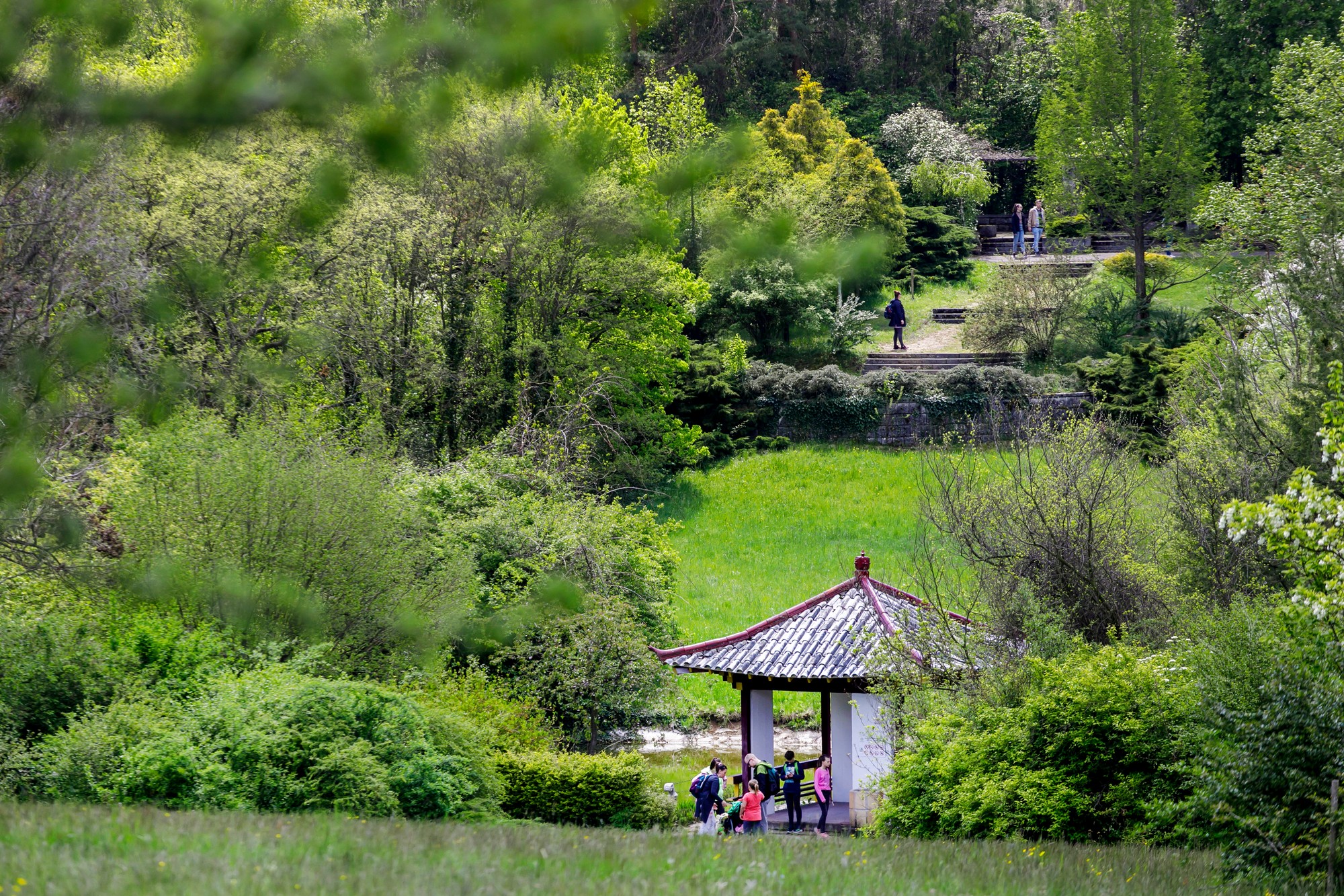 Arborétum Mlyňany