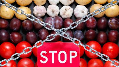 Chain and a 'stop' sign on a vegetables background, in context of sanctions and extermination of food in Russia