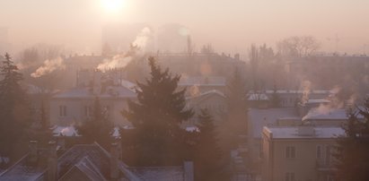 Widzisz to za oknem? Lepiej nie podejmuj ważnych decyzji