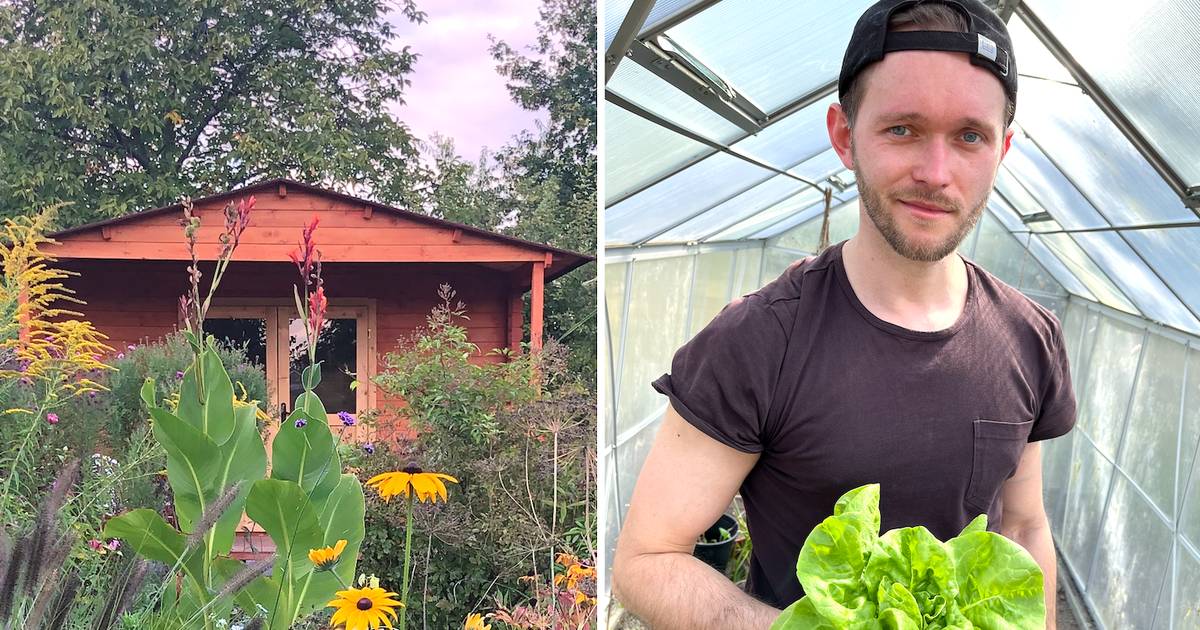 Kupił działkę ROD w 2021 r. "Dziś warta jest kilka razy więcej"