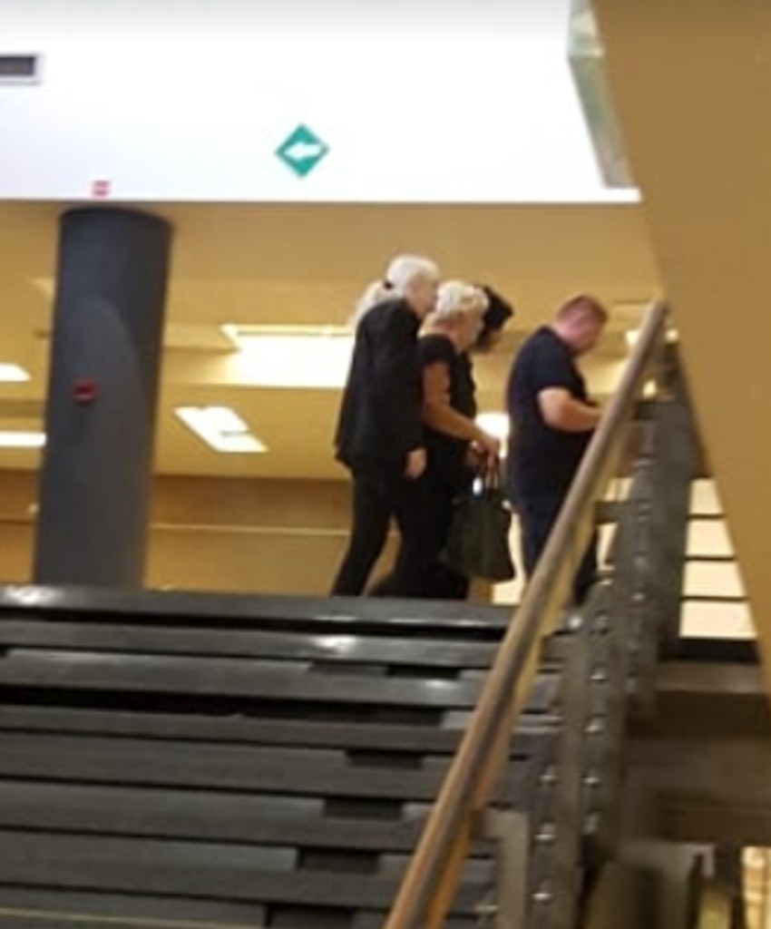 Majka Dalibora Andonova Gra