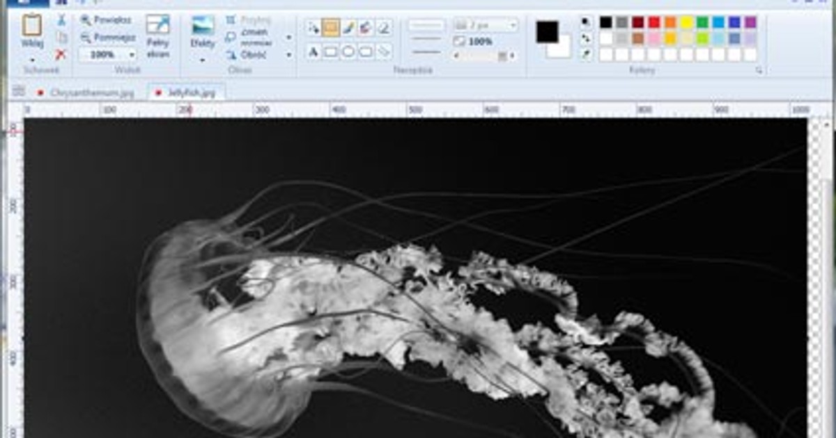 Download PicPick, EraserDrop Portable, Startup Delayer, Tropical