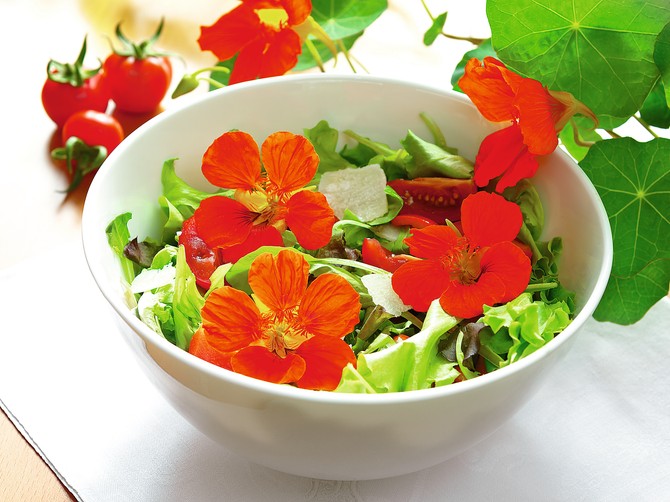 Tradicionalna medicina bliskog Istoka i Mediterana nezamisliva je bez cveta dragoljub