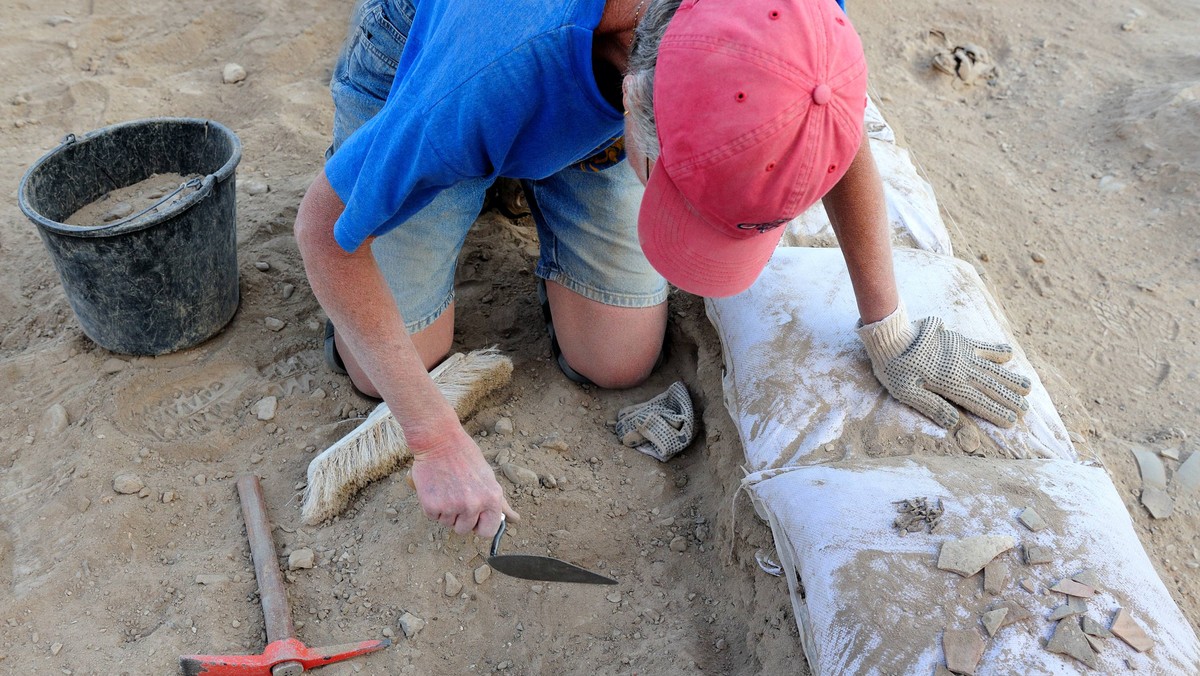 Blisko 150 artefaktów, w tym liczne groty strzał i bełty kuszy, znaleźli uczestnicy poszukiwań archeologicznych w okolicach Grunwaldu. Zakończone w sobotę badania miały pomóc w dokładnym zlokalizowaniu miejsca, w którym w 1410 r. znajdował się obóz krzyżacki.