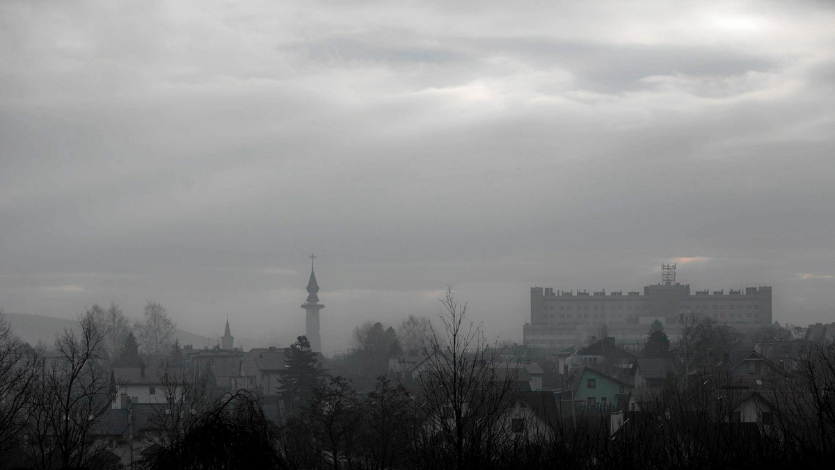 Ok. 40 proc. zanieczyszczeń powietrza, związanych z emisją toksyn z domowych pieców i lokalnych kotłowni, koncentruje się w woj. śląskim. Jakość powietrza w regionie w okresie grzewczym wciąż jest zła, mimo wdrożenia ok. 150 programów likwidacji niskiej emisji.