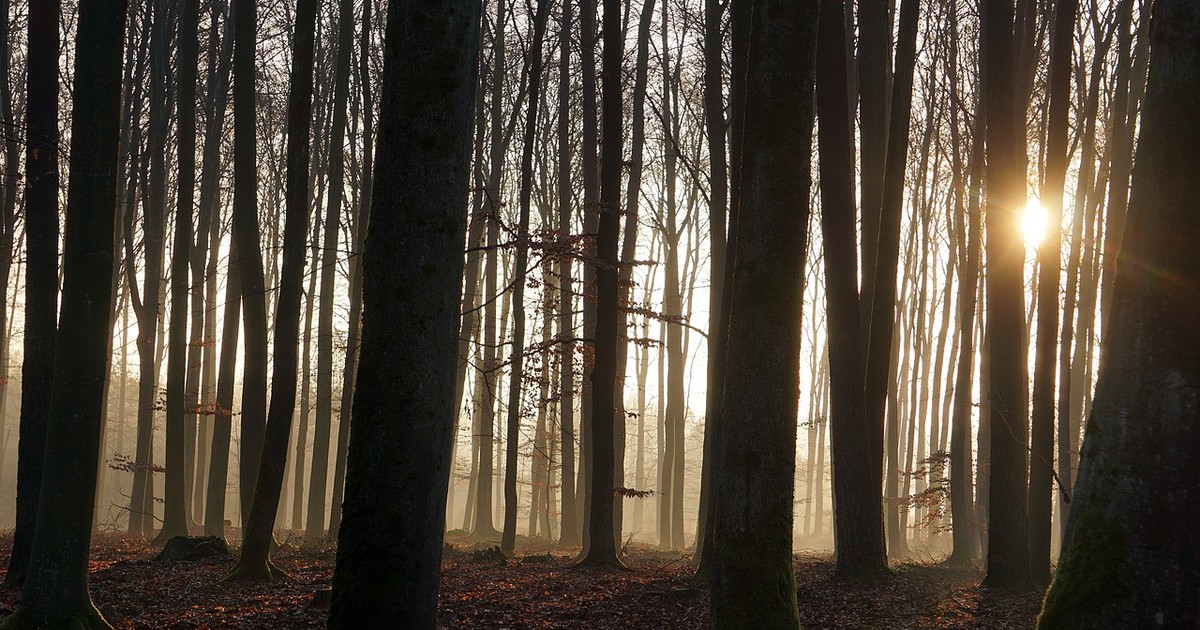 Hihetetlen: egy 15. századi kardot talált egy magyar diák a Bükk-hegységben – fotón a fantasztikus lelet