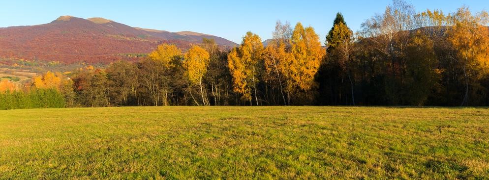 <strong>Bieszczady</strong>
<br></br>
Na karpackich krańcach południowo-wschodniej Polski leżą słynne Bieszczady. Pasma górskie między Przełęczą Łupkowską a Wyszkowską. Tras dla rowerzystów jest tu bez liku. Jedną z nich - na dobry początek bieszczadzkiego rowerowania - jest droga Polańczyk-Lesko-Solina-Polańczyk. Dystans rekreacyjny, bo raptem 44 km. Start w Polańczyku i dalej przez Berezki, Średnią Wieś, Hoczew i Łączki do Leska. Po prawej strony można podziwiać piękne krajobrazy znad rzeki San. Trasa nie jest trudna, nie wymaga specjalnego przygotowania kondycyjnego. Z Leska drugi etap trasy wiedzie przez Zwierzyń i Myszkowce do pięknej Soliny. Z Soliny blisko brzegu jeziora Jawor wracamy do Polańczyka.
<br></br>
<a  href=