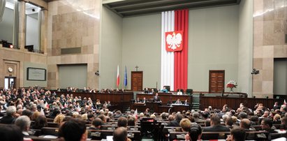 Sejm chroni posłów piratów?