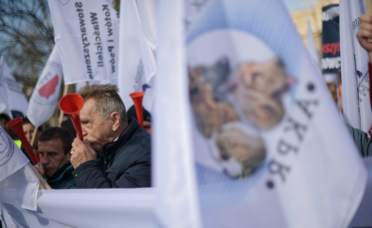 Protest rolników pod Sejmem. "Hodowla to hobby, a nie polityka"