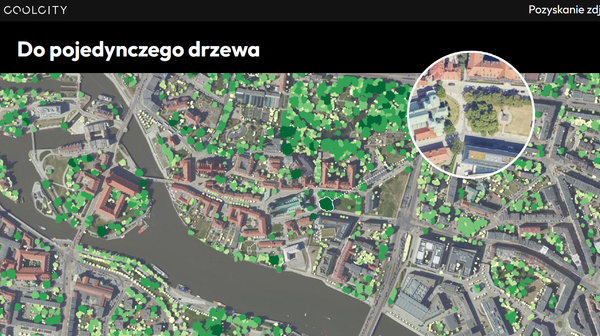 Ani jedno drzewo się przed zdjęciami nie ukryje