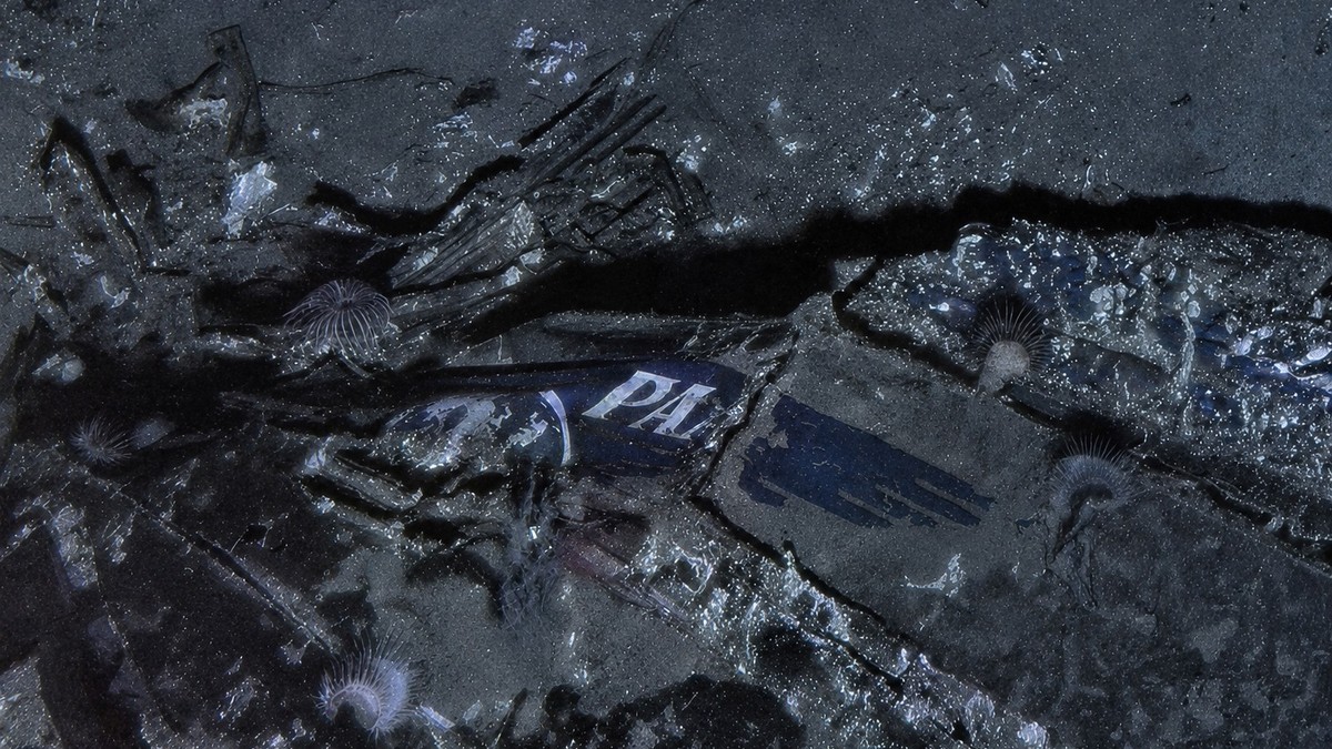 Ostaci aviona posle 74 godine nađeni u Portoriku