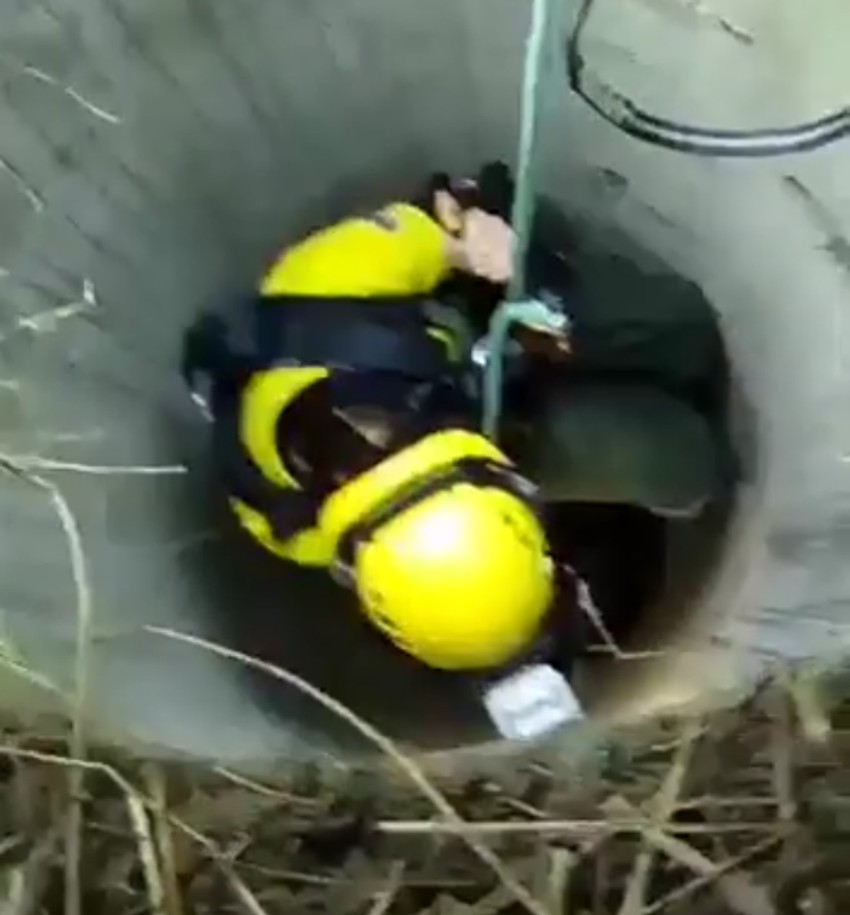 Volonter se spušta niz šaht ne bi li pomogao psu