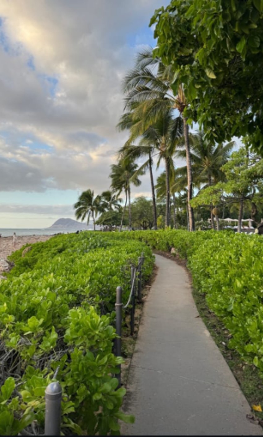 Jelisaveta Orašanin