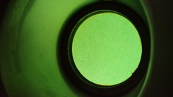 Małże w akwarium, ogród na dachu i plan zdjęciowy 'Czterdziestolatka'. Filtry Warszawskie za zamkniętymi drzwiami. ZDJĘCIA