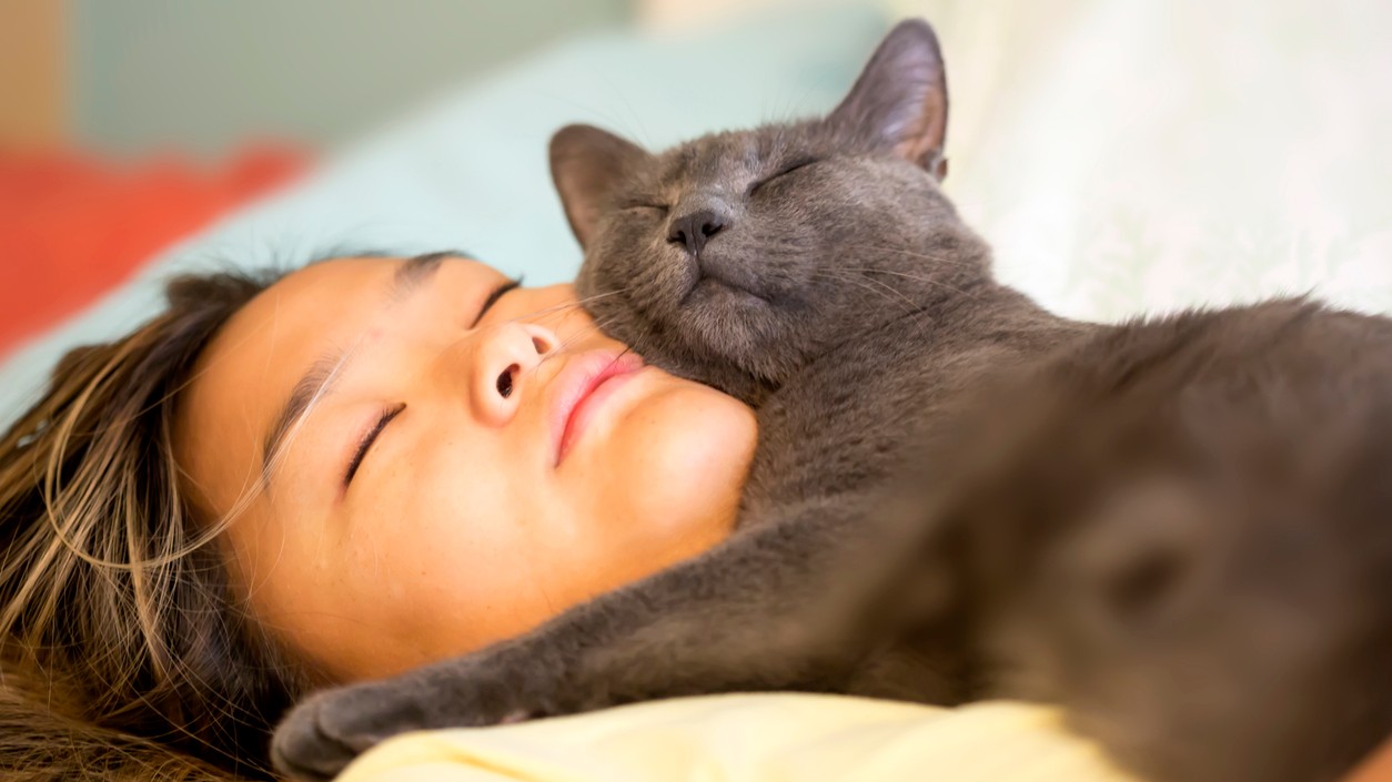 V blízkosti tváre získava mačka svoj malý „kúsok bezpečia“. 