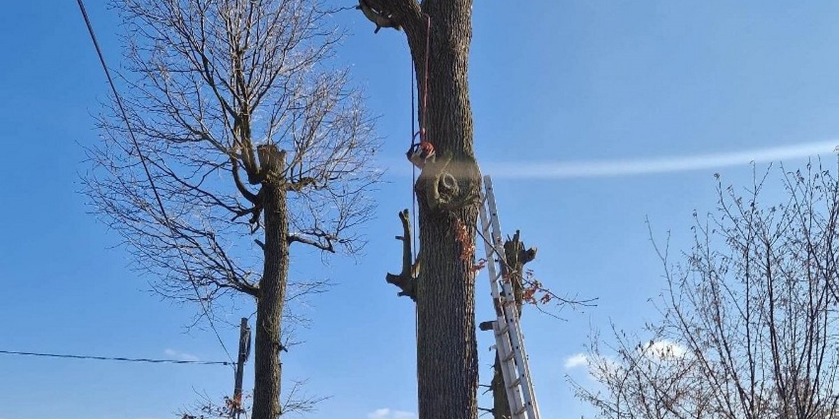 Tarnawa. Śmiertelny wypadek 68-latka. 