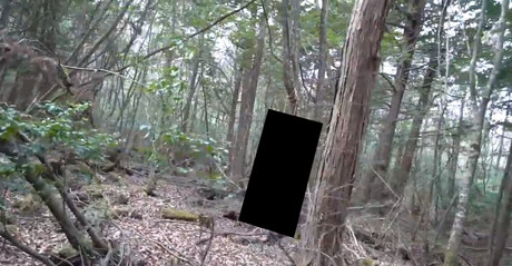 Logan Paul krytykowany za nagranie zwłok w lesie samobójców - Noizz
