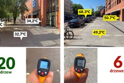 Zielona Fala Trójmiasto, pomiar temperatury