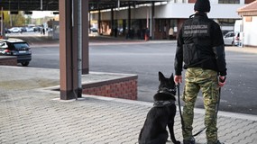 Białorusin zostanie za to wydalony z Polski. Chciał wjechać tirem na podziemny parking