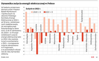 Dynamika zużycia energii elektrycznej w Polsce