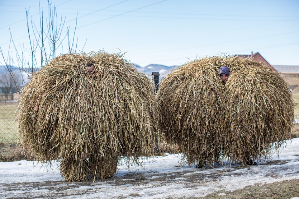 Malanka Festival