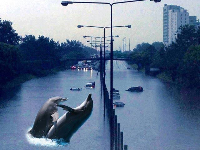 Galeria MEMów o powodzi w Warszawie