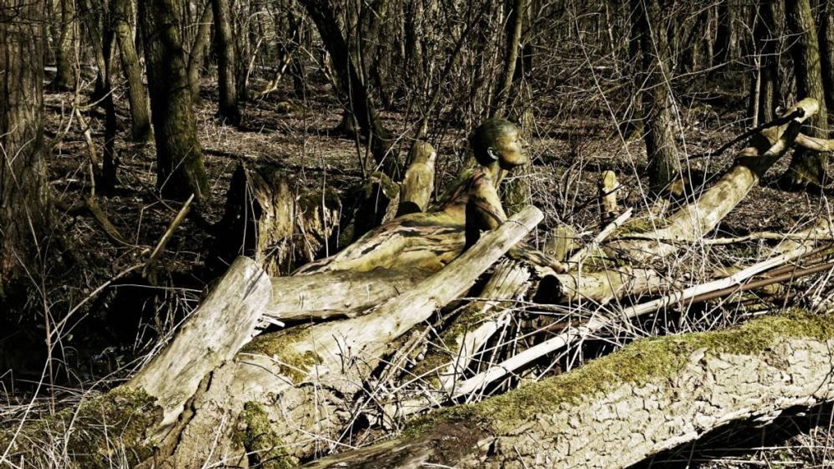 Seria tych niezwykłych fotografii dowodzi, że nie tylko zwierzęta potrafią się upodobnić do otoczenia. Kobieta, która znajduje się na tych zdjęciach, została pomalowana tak, żeby maksymalnie "wtopić" się w naturę.