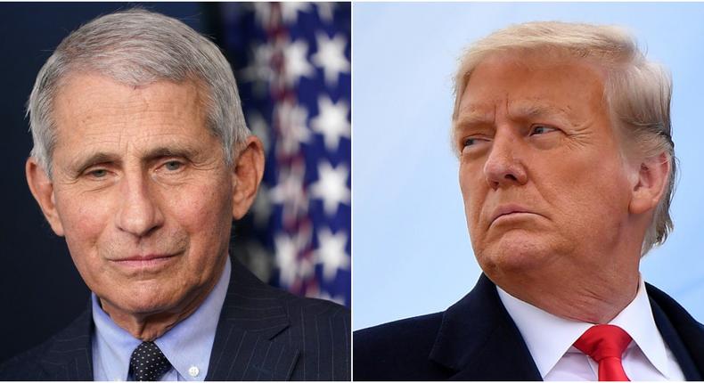 Left: Dr. Anthony Fauci. Right: Former President Donald Trump.
